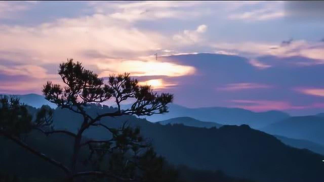 逃出猫头鹰岛